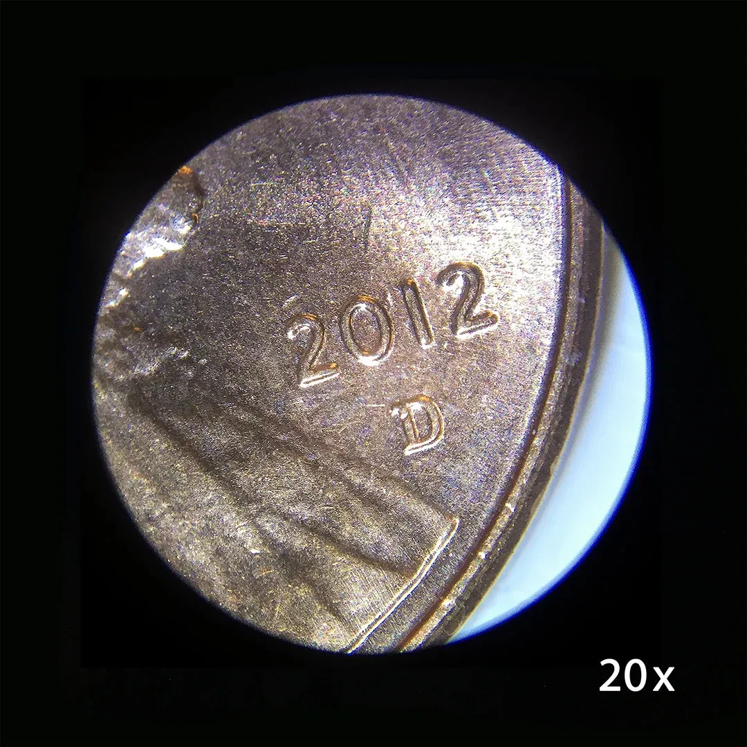 20x, 50x Student Stereo Microscope | AY13116