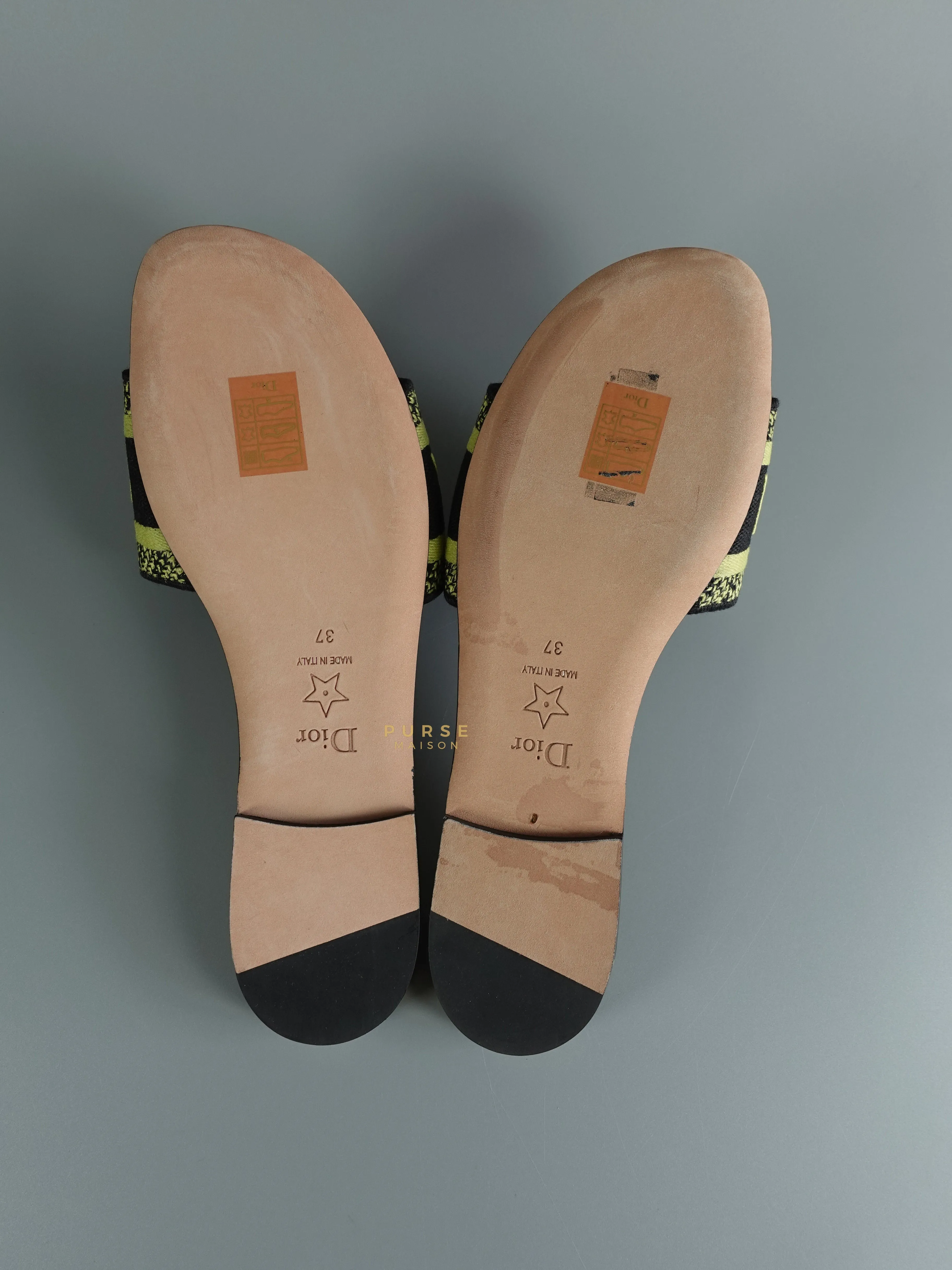 Christian Dior DWAY Slides Leopard Light Green Size 37