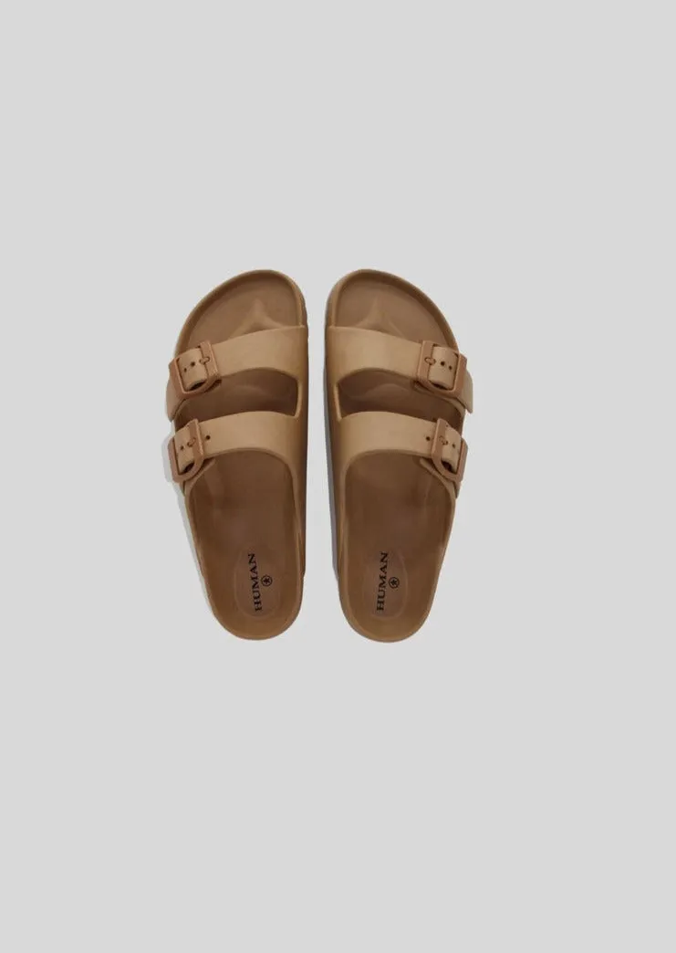 Human RIPE Slides Tan