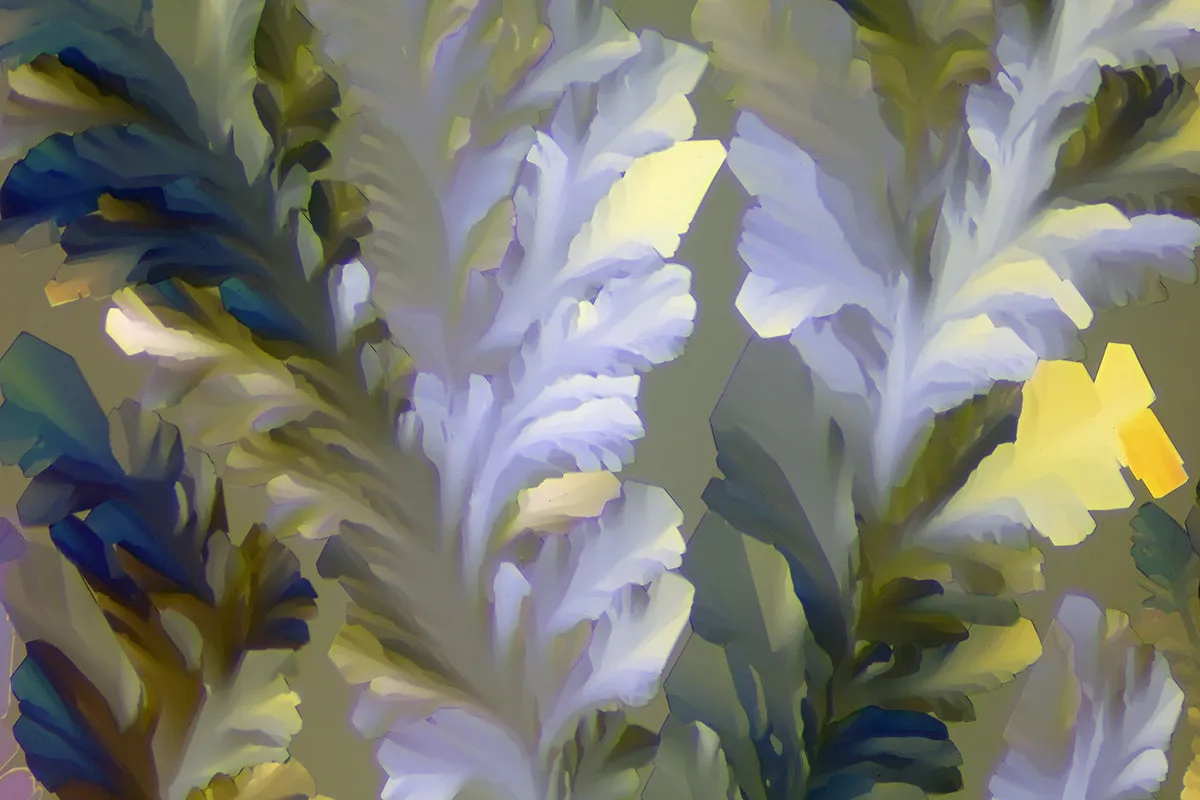 "BOTANICA" -Photograph of crystalline THCA