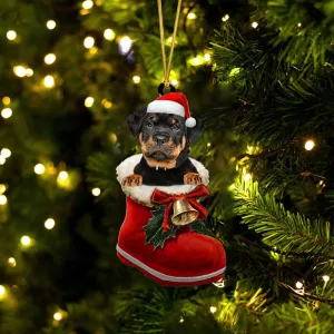 Rottweiler (3)-1-In Santa Boot Christmas-Two Sided Ornament