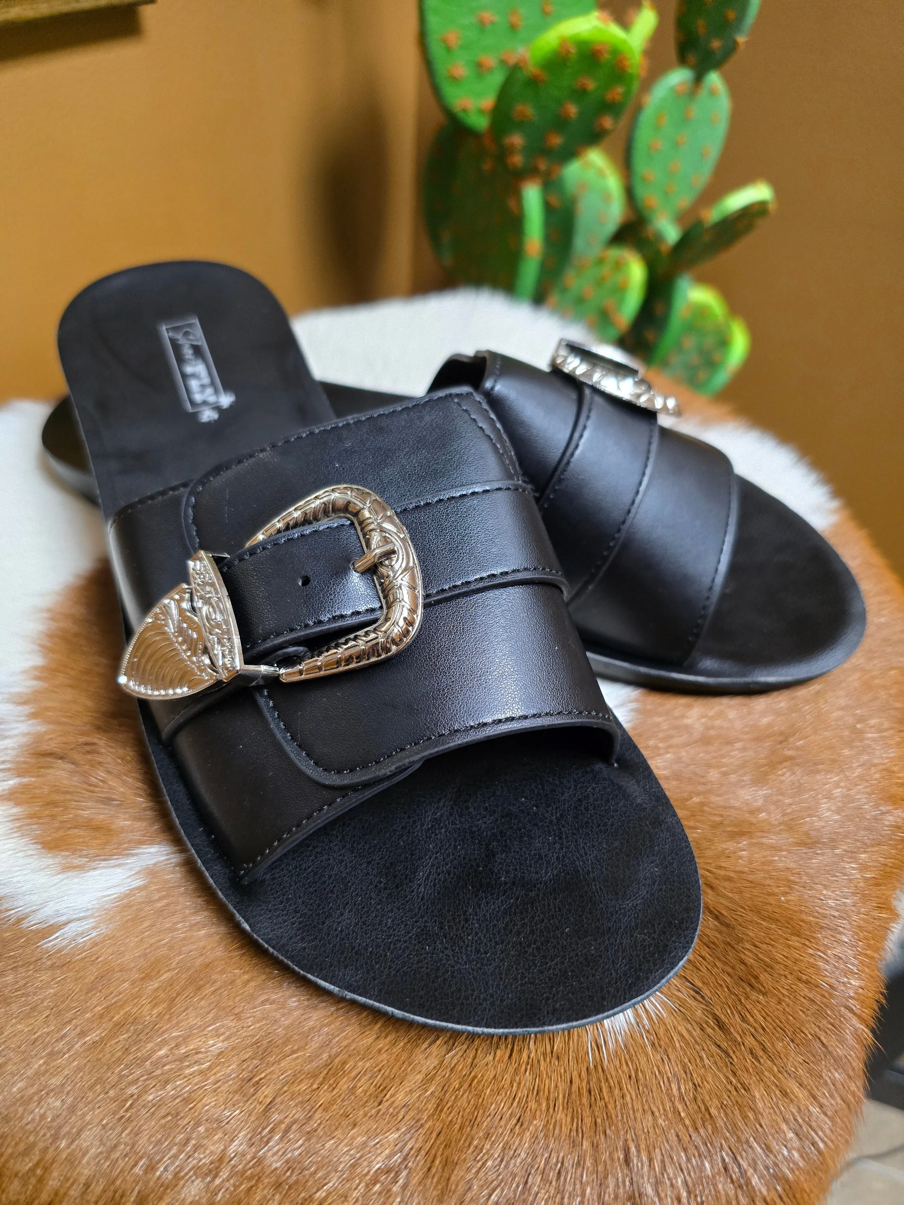 Slick & Slides